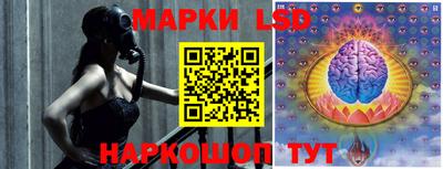гидропоника Краснокаменск